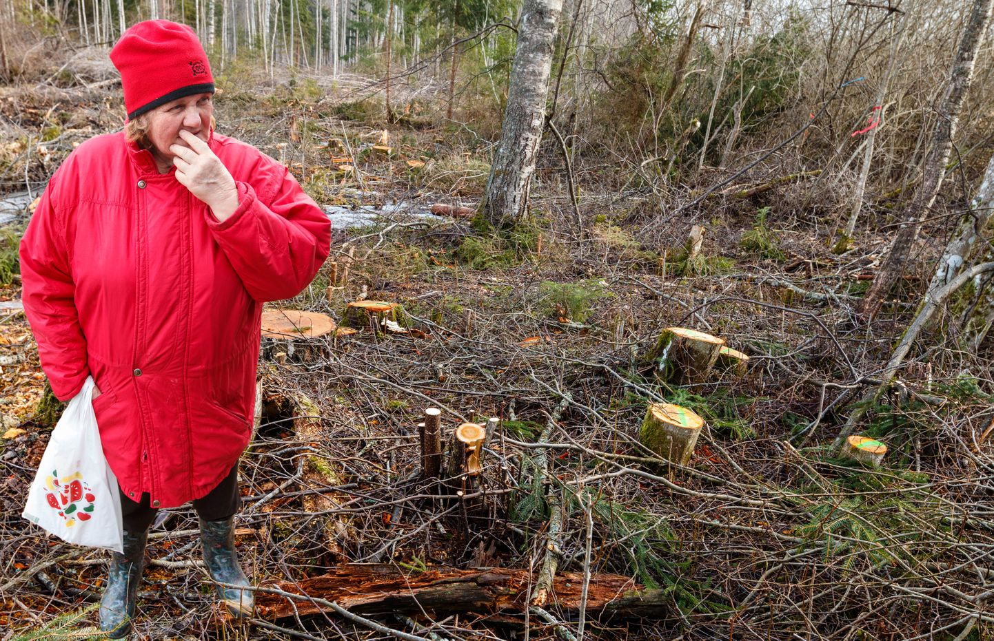 Tuulepesa maaüksuse omanikule Maila Rohtlale hiljuti oma metsas ehmatav vaatepilt: puud olid maha võetud.