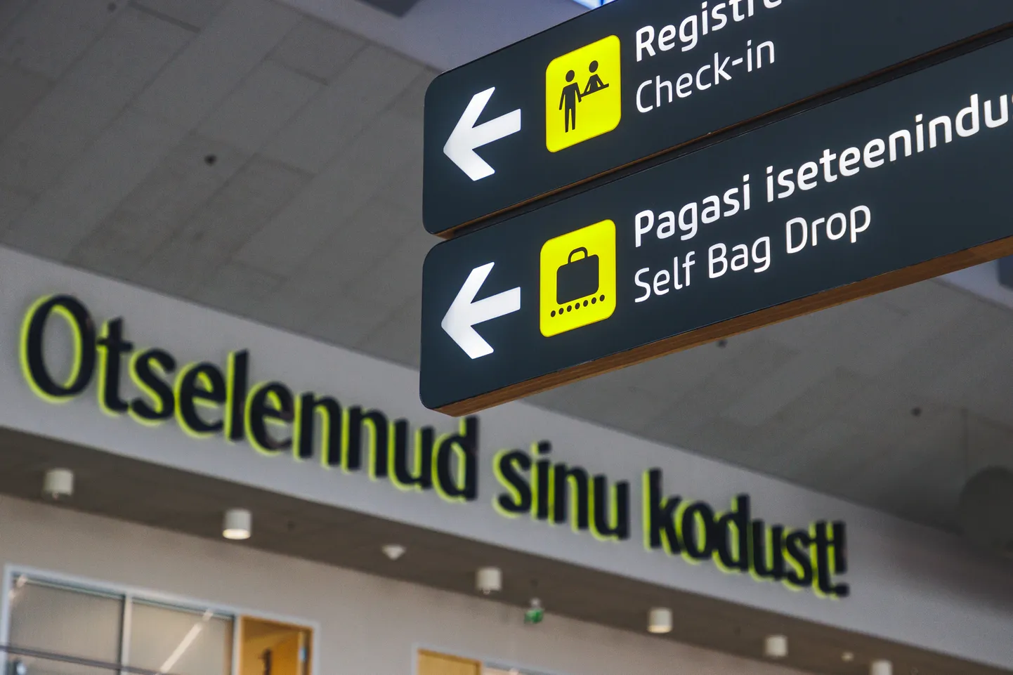 Möödunud aastal saabus Eestisse 1374 inimest enam kui lahkus. Foto on illustratiivne.