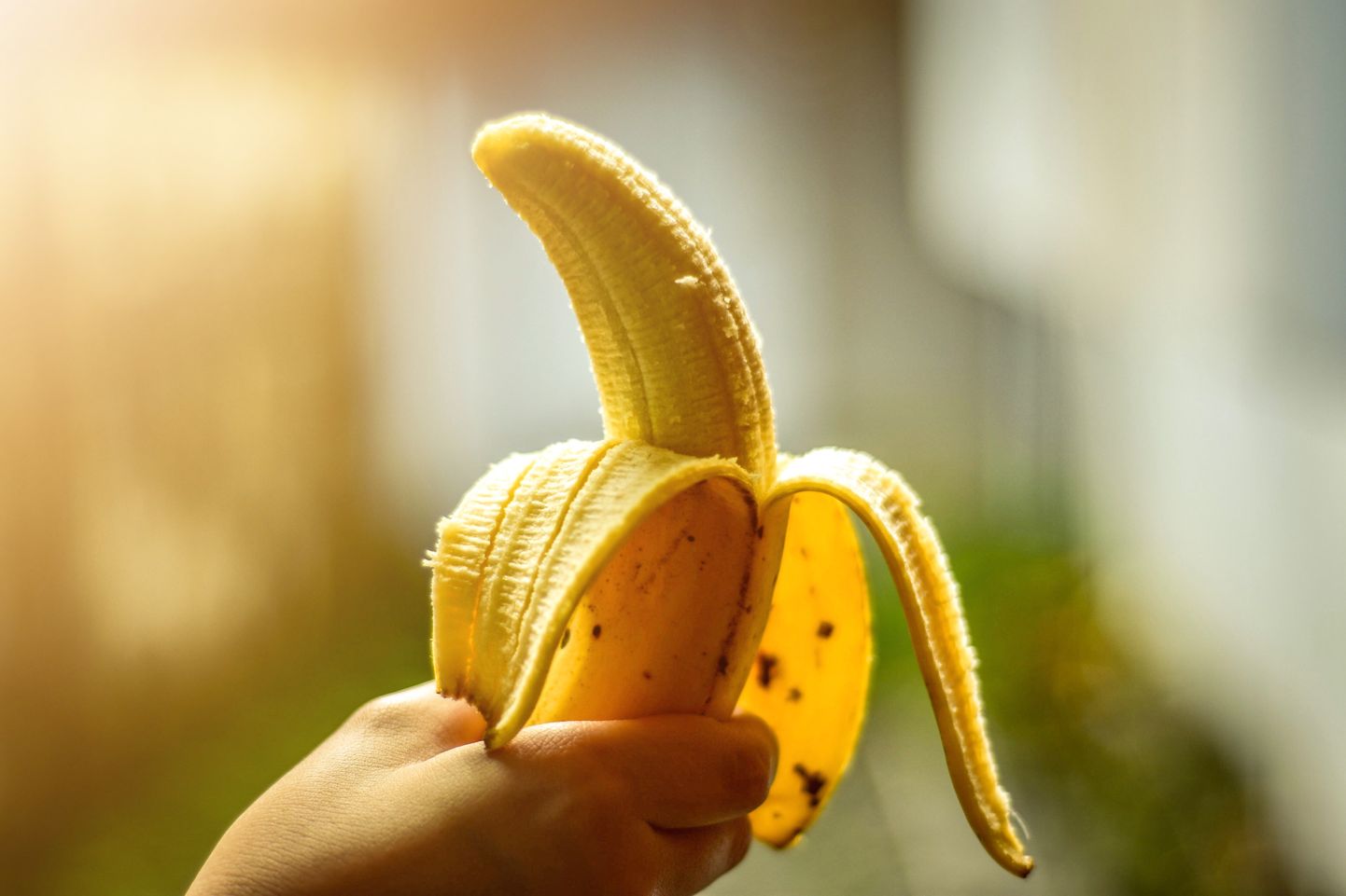 Banāns. Ilustratīvs attēls.