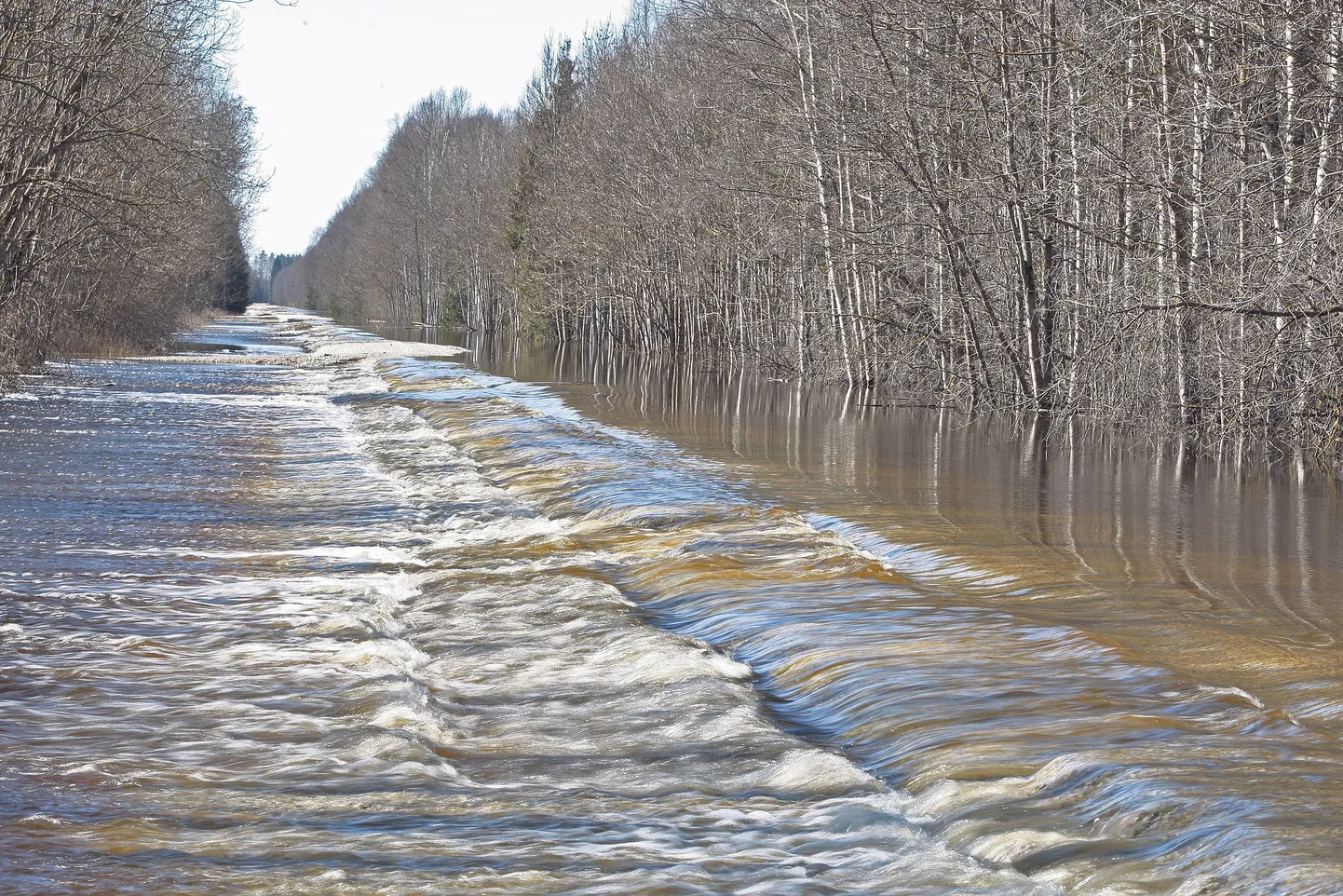 Laeva jõe vesi voolab praegu suure kohina ja mühinaga üle Valmaotsa–Palupõhja tee, mis remonditi eelmisel aastal. Nüüd on suurvesi sellelt teelt minema viinud osa killustikust.