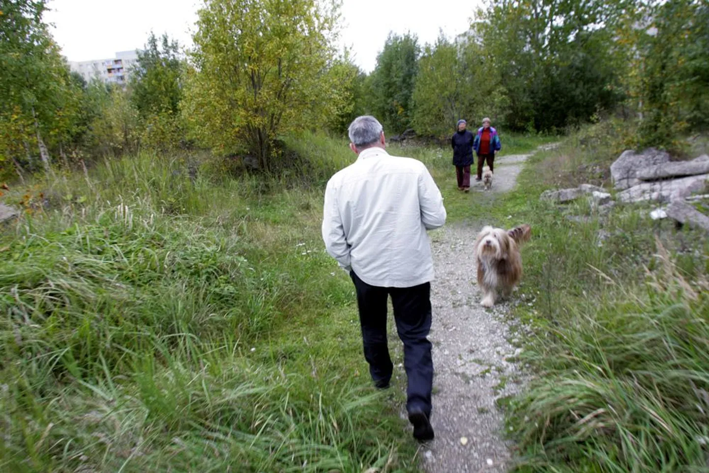Tulevase spordikompleksi kohal laiub praegu tühermaa, kuhu varem veeti ehitusprahti ja praegu käiakse koeri jalutamas. Seljaga linnaametnik Rein Ilves.