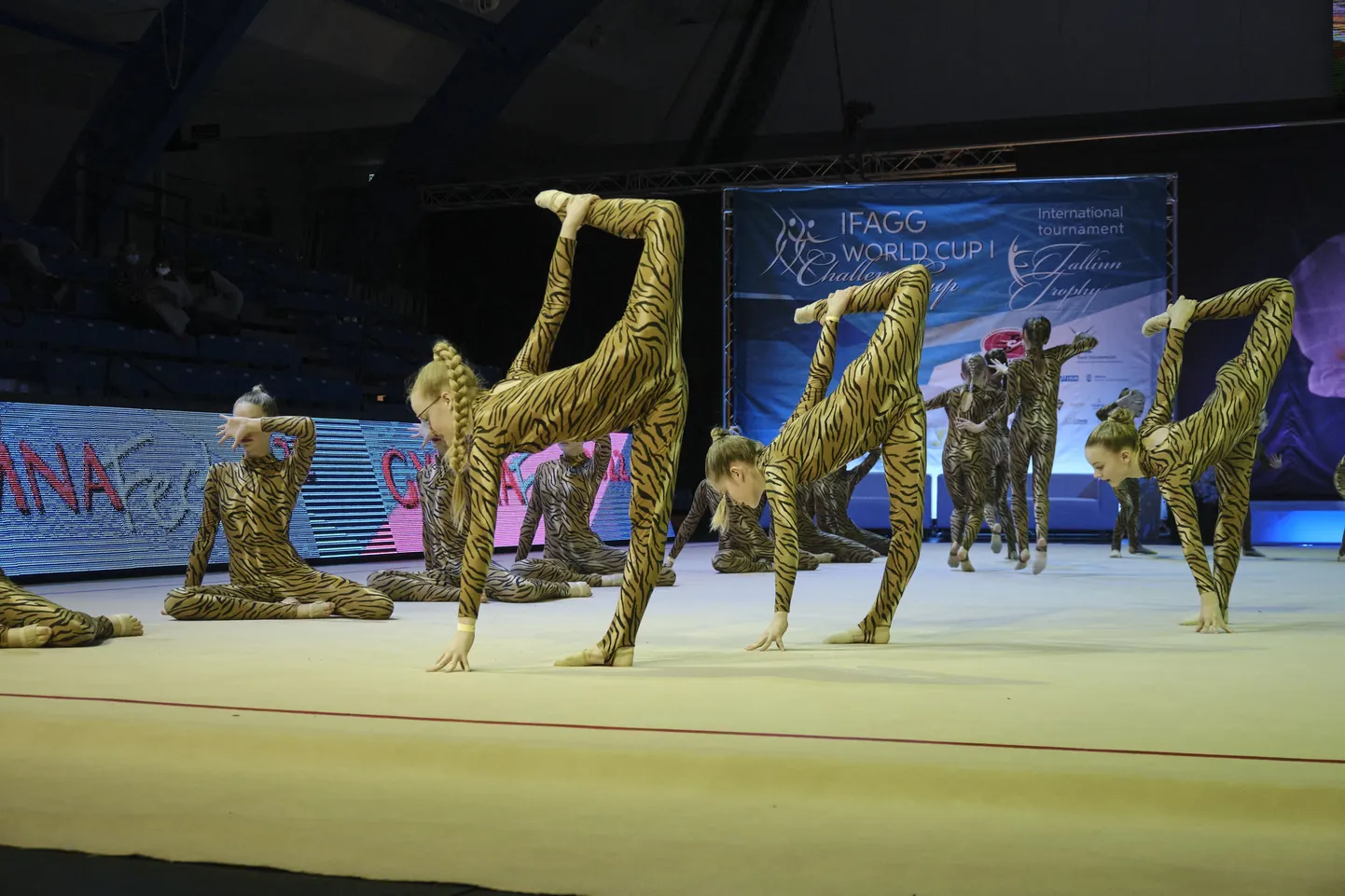 Võimlejad võimlemisfestivalil Gymnafest.