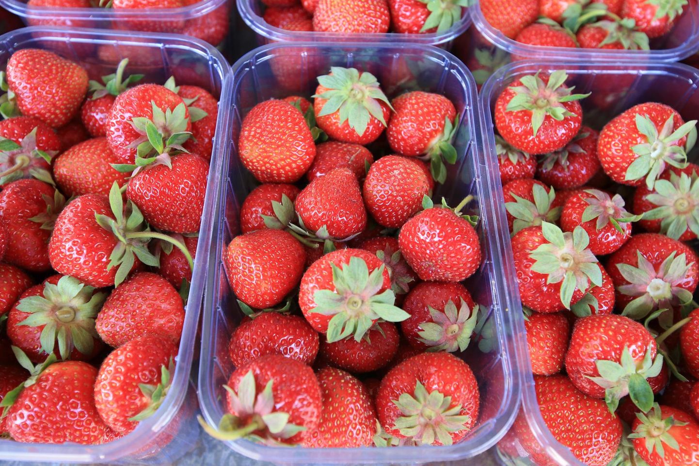 Karpidesse pakitud maasikad.