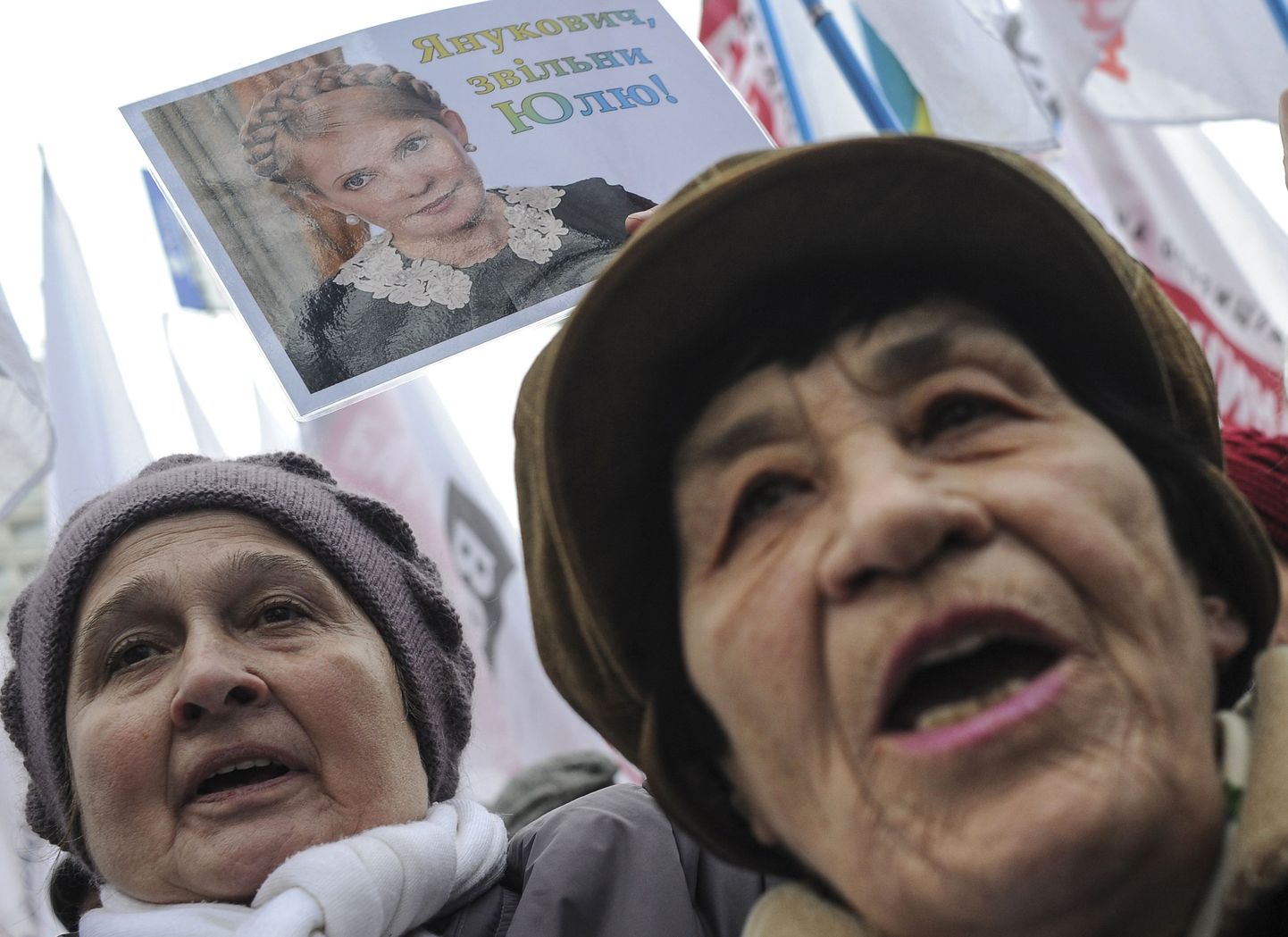 13. novembril, mil parlament pidi otsustama Tõmošenko välismaale ravile saatmise, kogunes Kiievis ekspeaministrile toetust avaldav rahvahulk.
