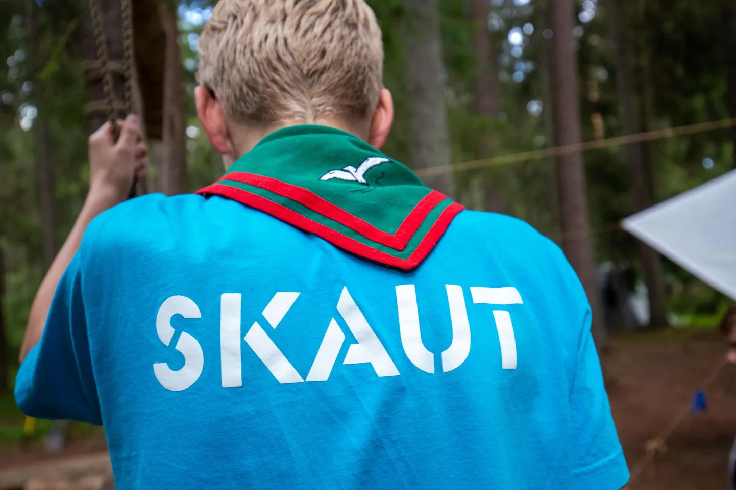 Skaudid.