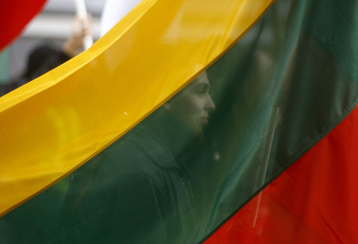 Leedu riigilipu värvid.