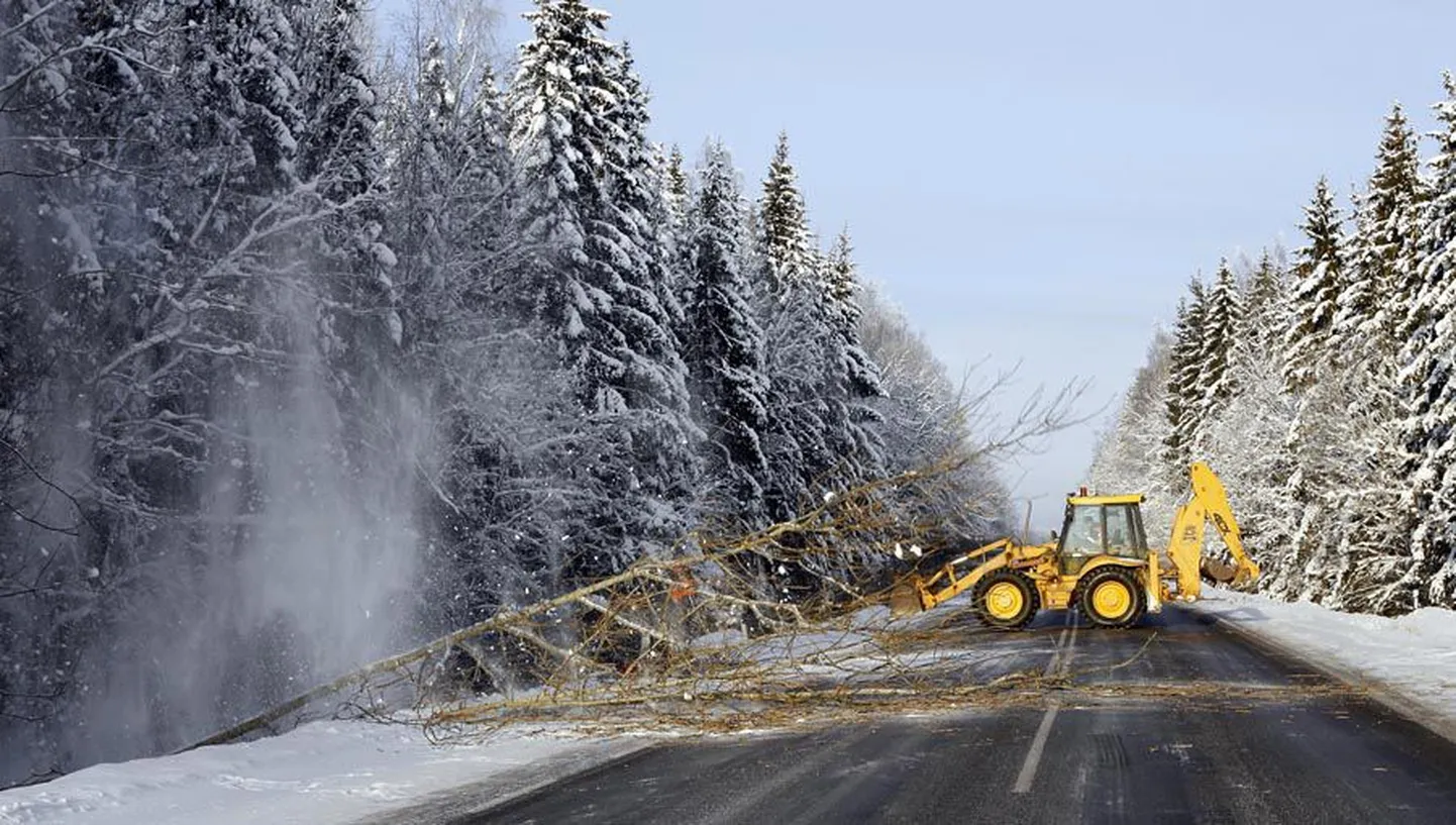 Teisipäeval sulgesid liikluskorraldajad mõnes kohas Viljandi—Imavere maantee,
et traktoristid saaksid langetatud puid koristada.