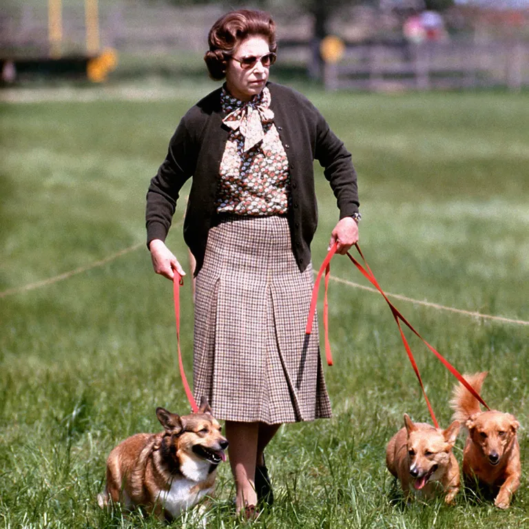 Elizabeth II osadega oma corgidest 1970. aastatel