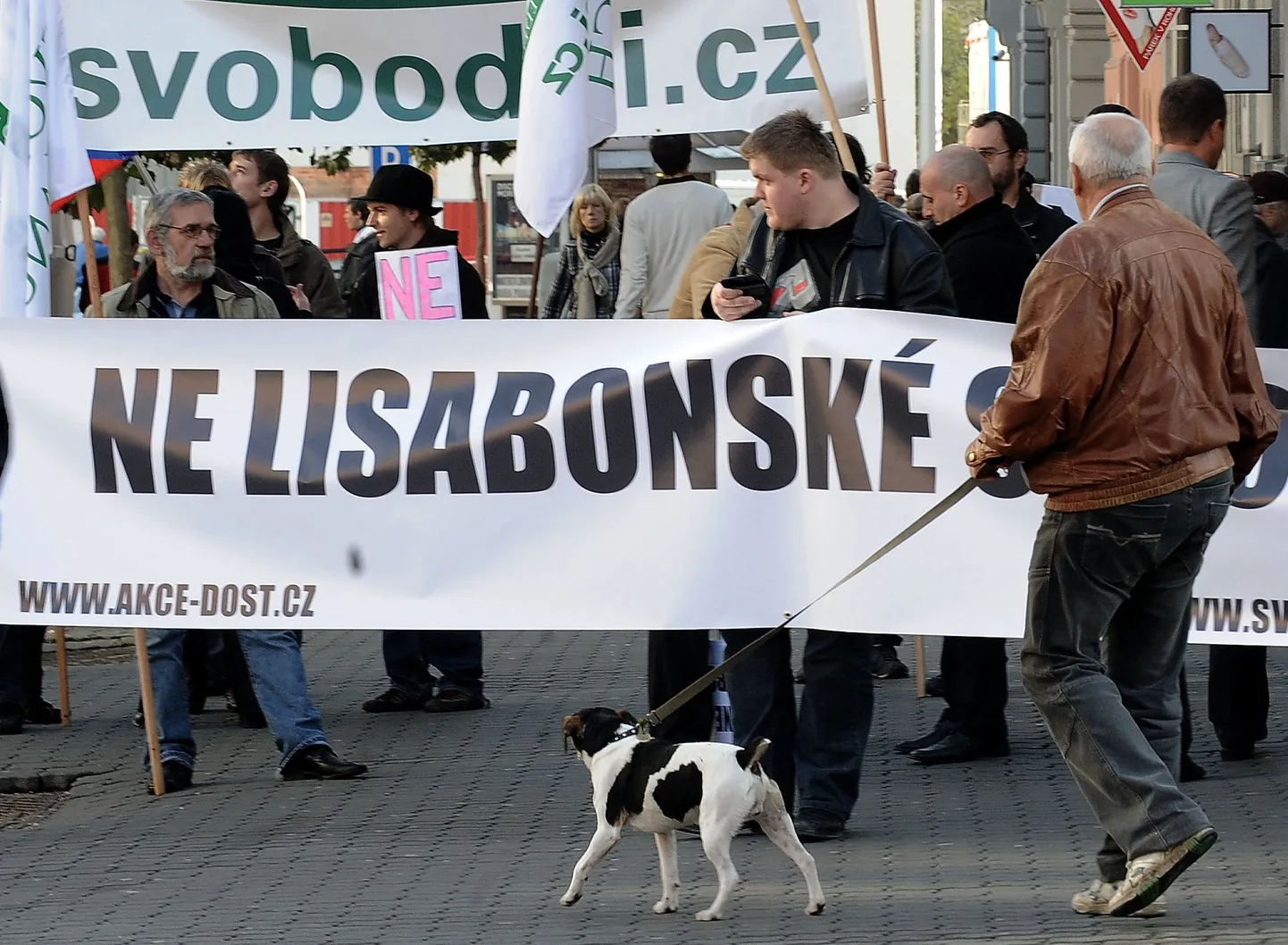 Lissaboni leppe vastased Tšehhi konstitutsioonikohtu ees.