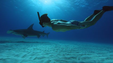 17. Matsalu loodusfilmide festivali võitis traagiliselt hukkunud kanadalase dokumentaal haidest