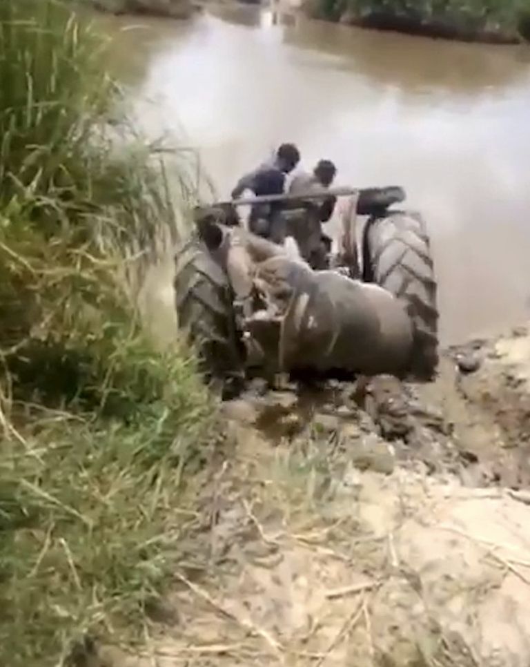 Tansaania farmerid ületasid sügava jõe traktoriga