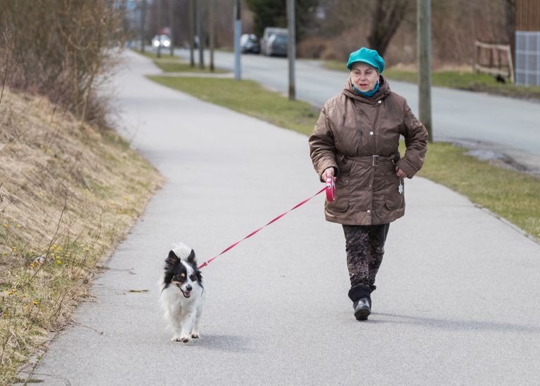 Valentina ja Hundik tunnevad mõlemad jalutuskäigust suurt mõnu. Foto: Mihkel Maripuu