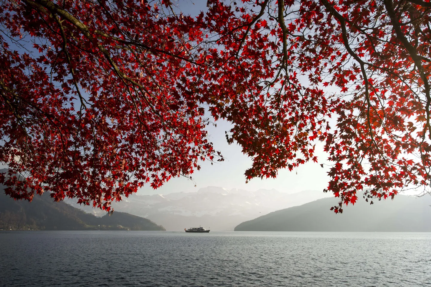 Artikli foto