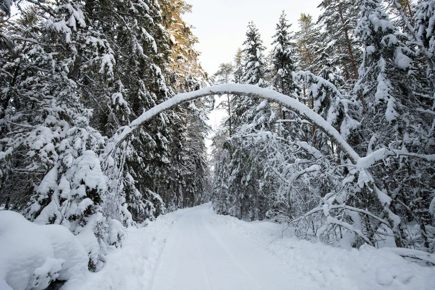 Ilm läheb elektri kallale.