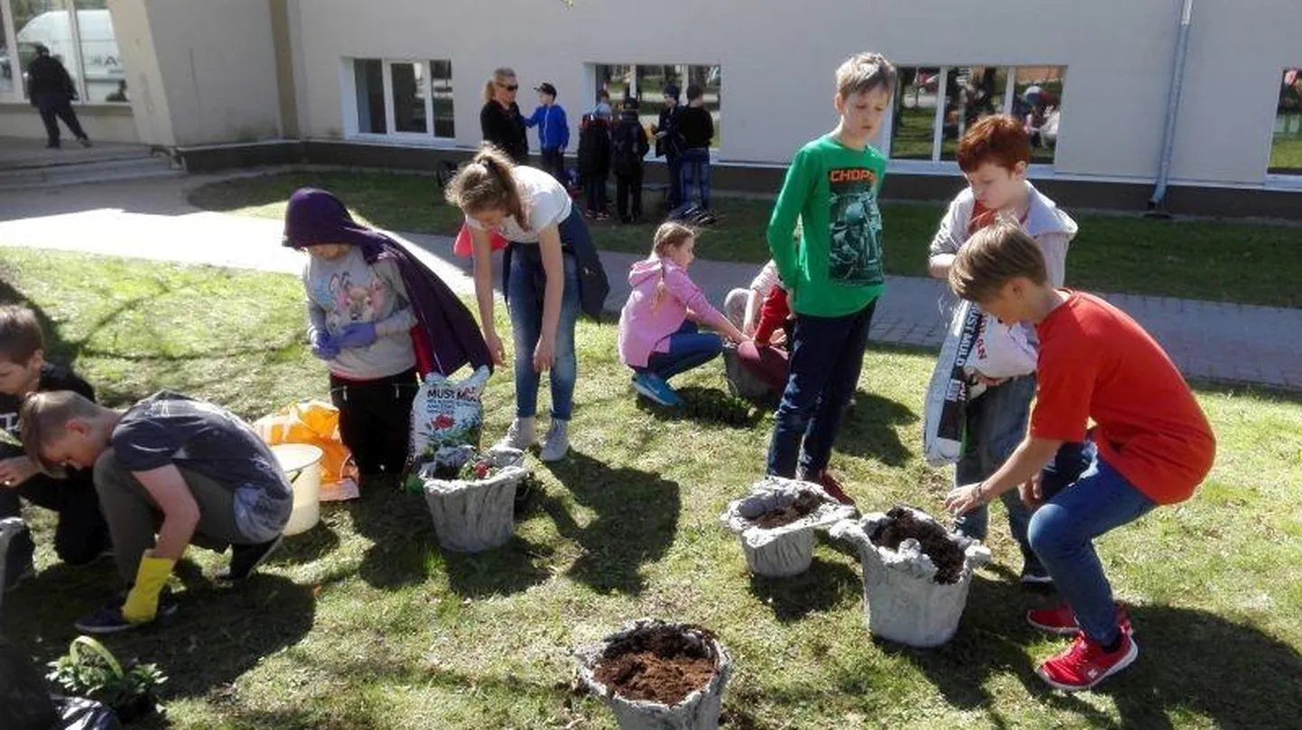 Imelise ilu loojad ei jää tähelepanuta. Rakvere gümnaasiumi projekt "100 lille, 100 sõpra" pani noored ettevõtlikult tegutsema: lilled istutati enda tehtud potidesse ja pandi need lõpuks oma kooli ees mulda.