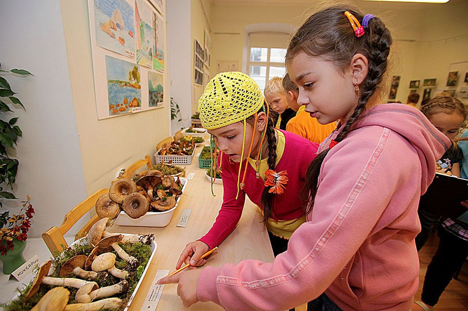 Milissa Laanet (vasakul) ja Michaella Tkatšuk, Tartu vene lütseumi 2.b klassi tüdrukud uurisid eile koos klassikaaslastega Tartu keskkonnahariduse keskuses seenenäitust.