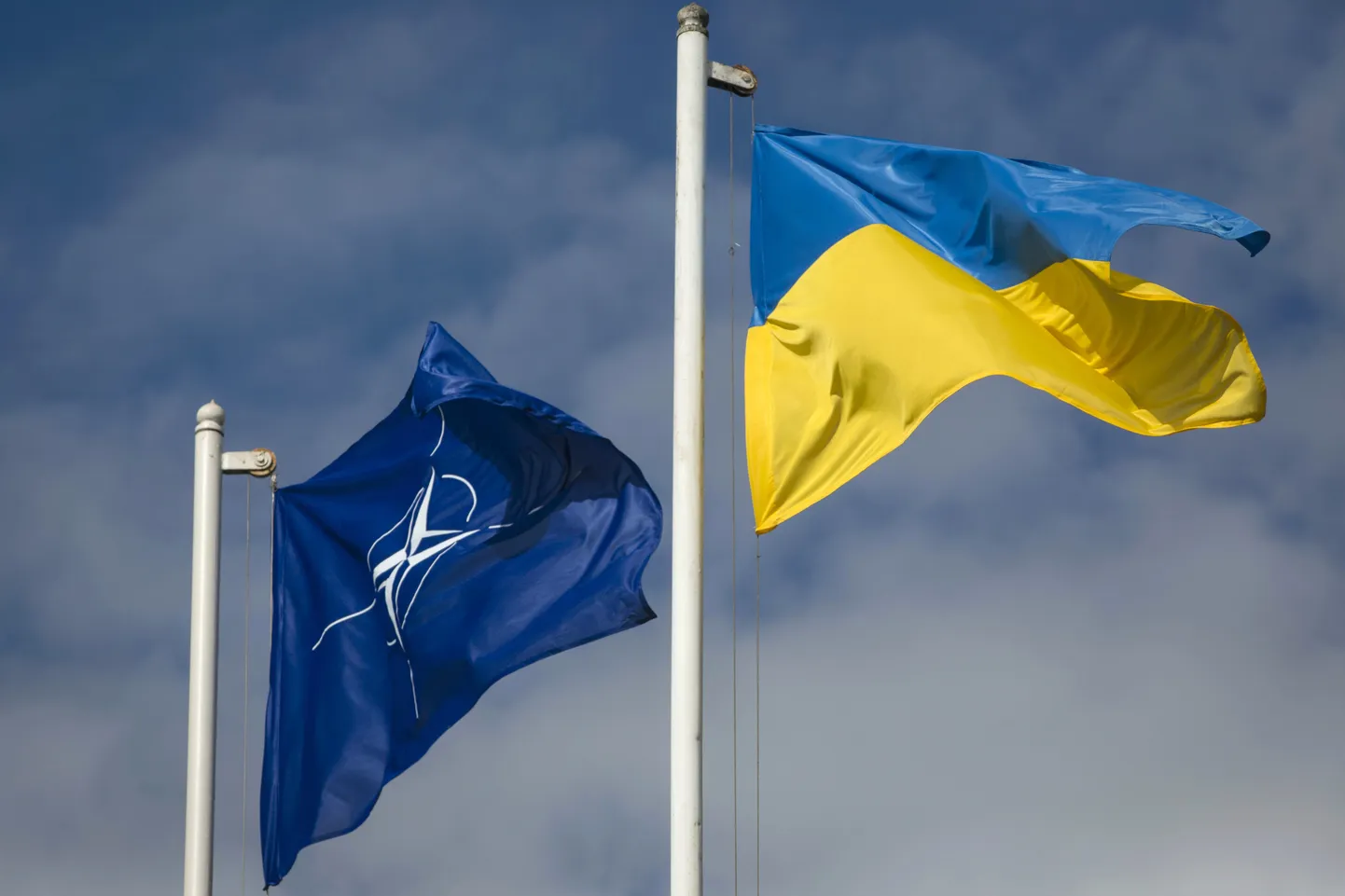 Флаги НАТО и Украины. Иллюстративное фото.