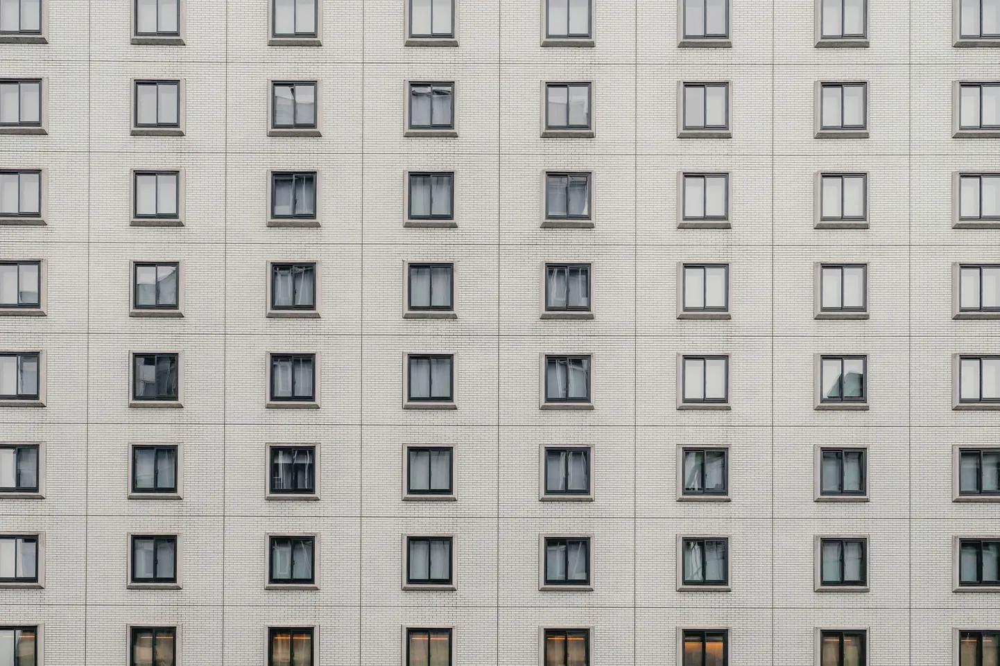 Фото статьи