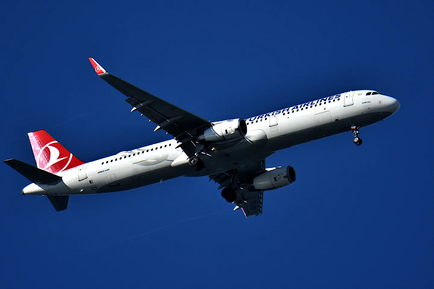 Пассажирский самолет Turkish Airlines. Фото носит иллюстративный характер.