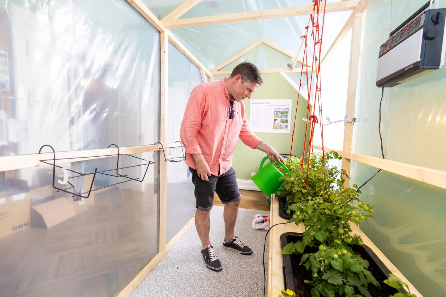 Tartu linnamuuseumi direktor Risto Lehiste kastis Jaamamõisa tomatitaimi ja lisas, et näitusel on oluline osa lõhnadel.