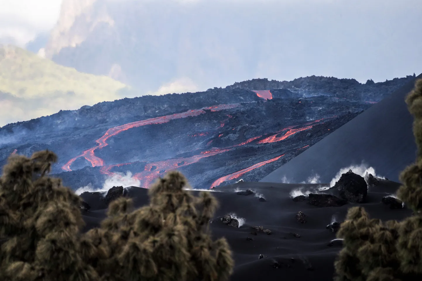 La Palma