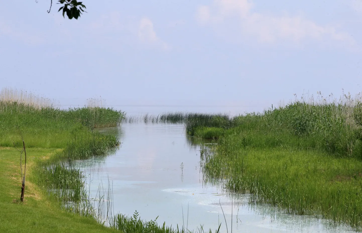 Peipsi järv. Foto on illustratiivne.