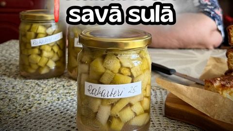 Selgastantes rabarberu kompots bez lāses ūdens