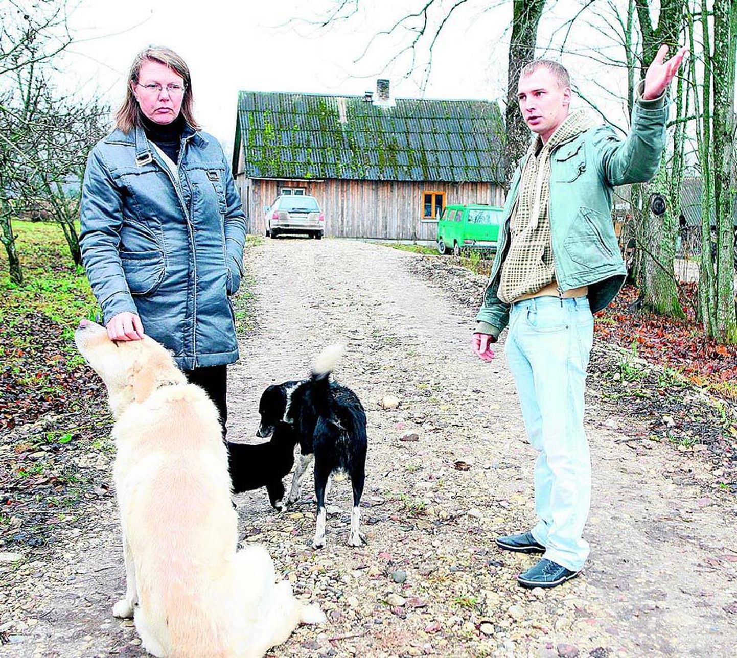 Murese talu perenaine Mirja Arm ja perepoeg Madis Arm ütlevad, et ei taha võõraid koeri tulistada, kuid kui murdmine jätkub, tuleb nad siiski maha lasta. Nende endi koerad on pigem lammaste hoidjad.