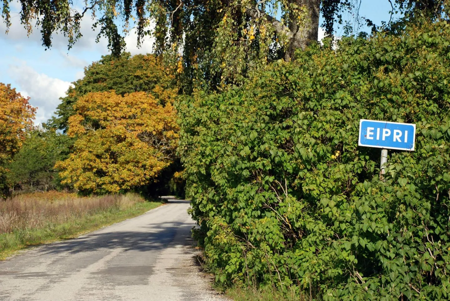 Eipri küla valgusmängu ootel.