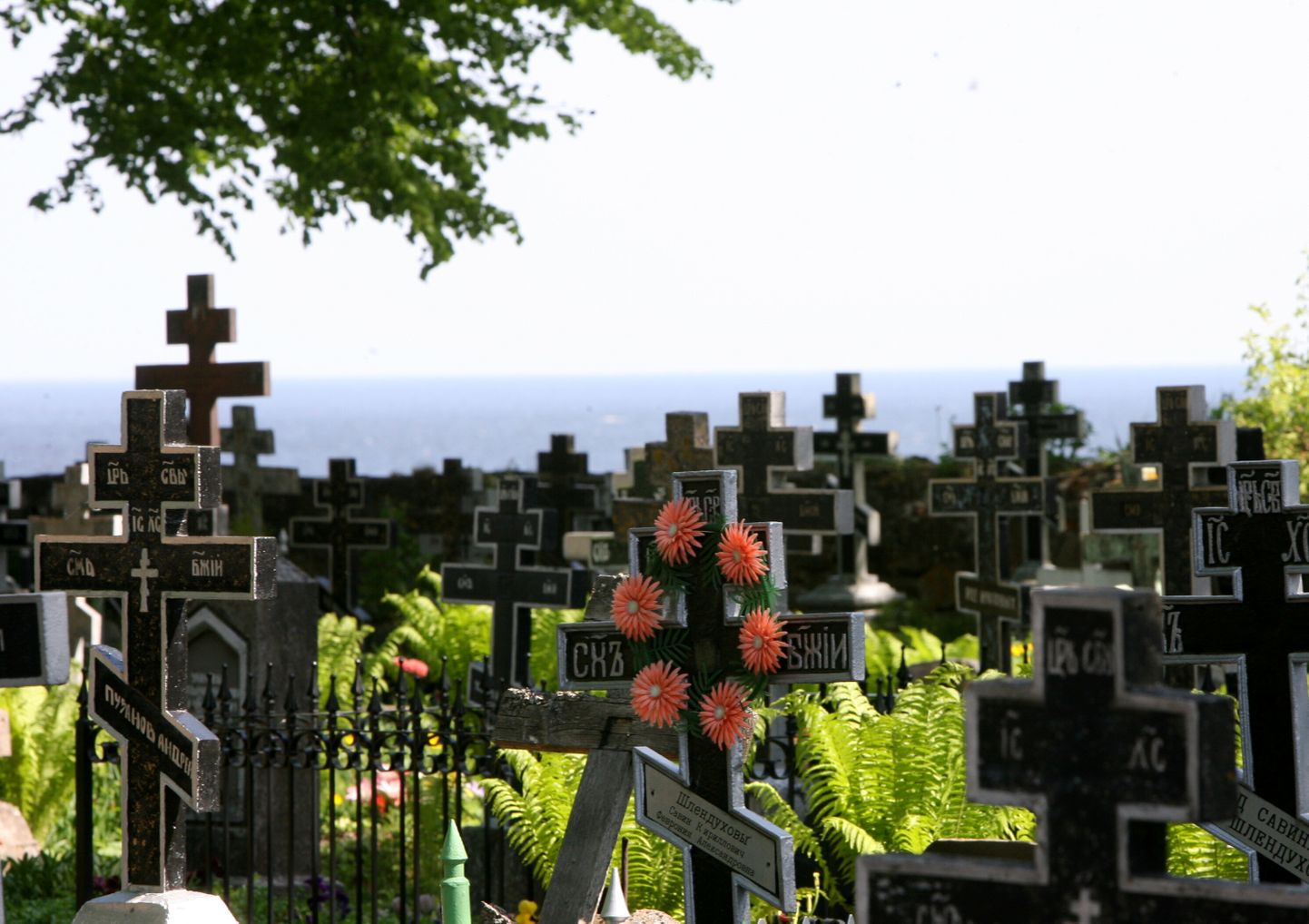 Eesti sõjamuusem lasi teisipäeval Kallaste vanalt kalmistult ära viia punakaartlaste mälestussamba.