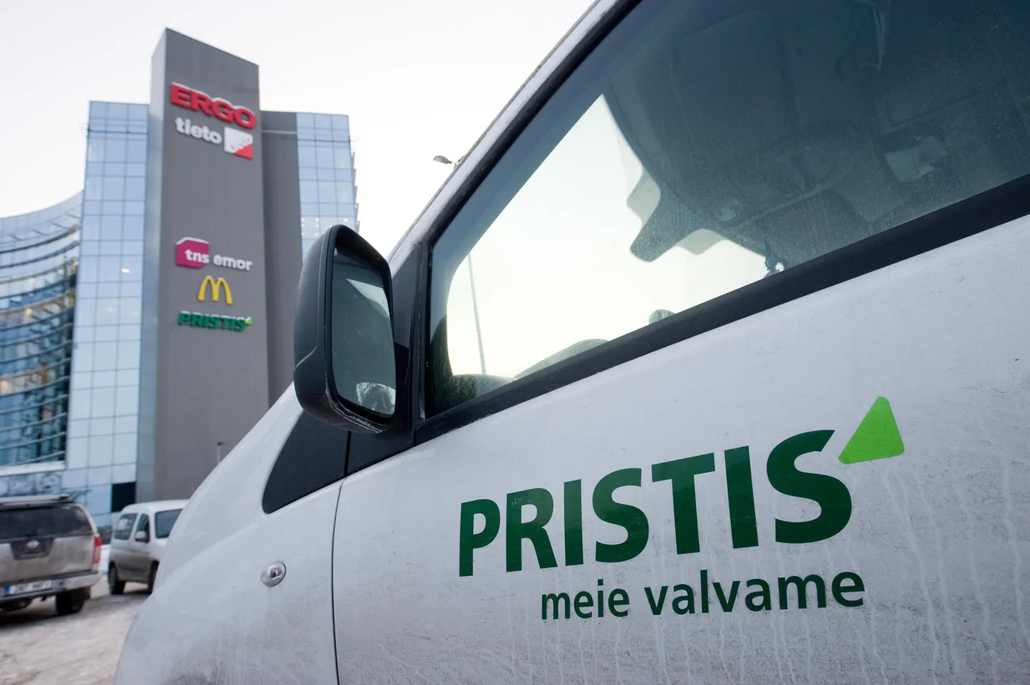 Pristis
