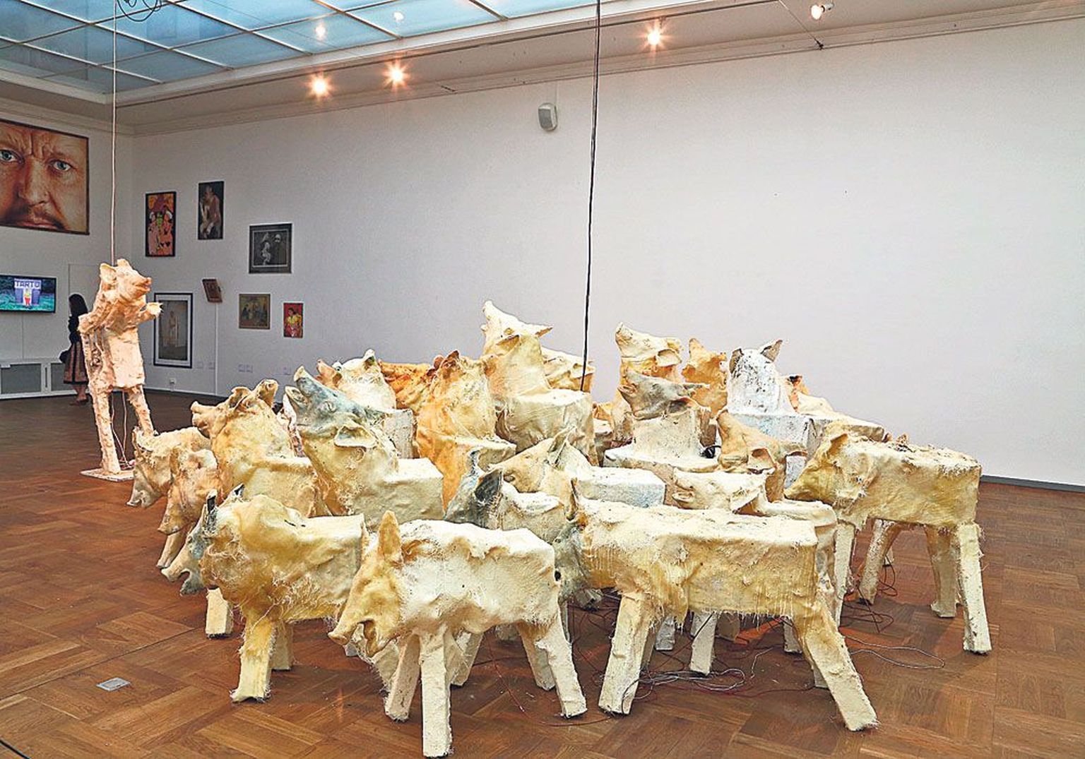 Näituse domineeriv eksponaat, Jass Kaselaane irooniline ja tragikoomiline lavastus, seakisaskulptuurigrupp «Luigelaul», mille tagamaad jäävad vaatajale mõelda.