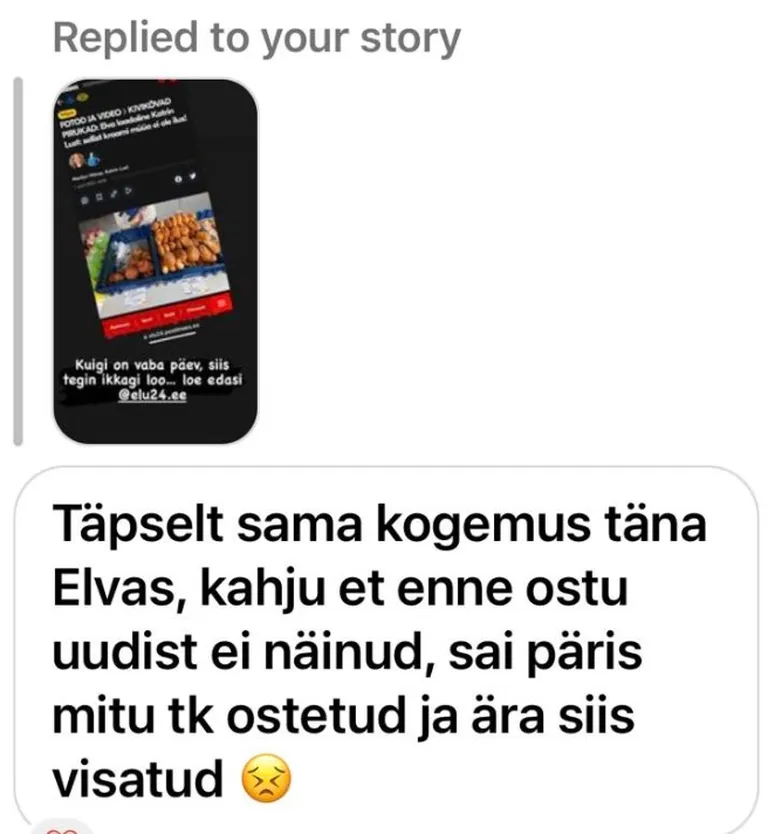 Ebameeldiv pirukakogemus Elva laada müügikohast - kommentaarid ja tagasiside kasutajatelt