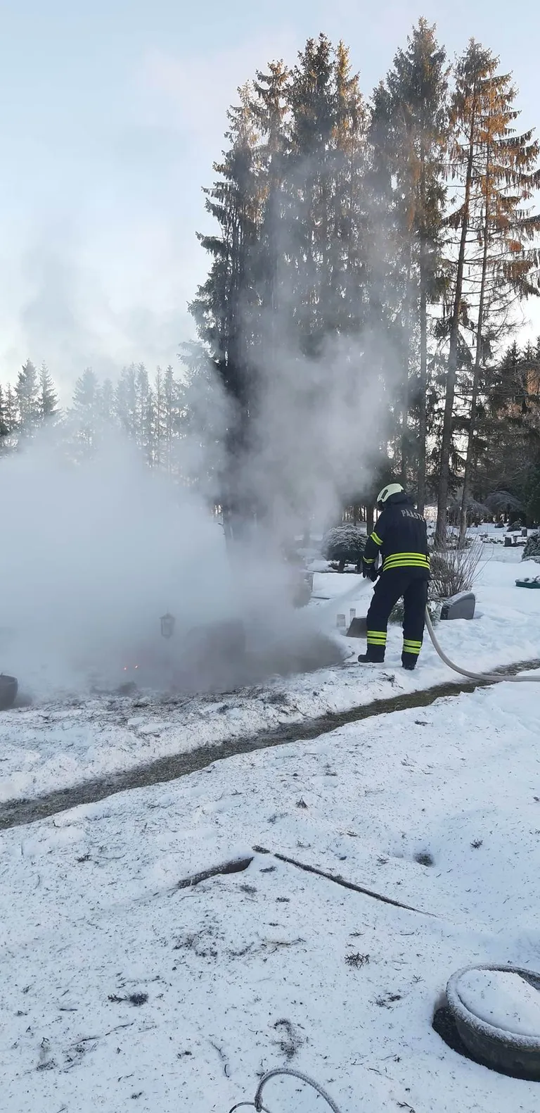 Elupuu kustutati veejoaga.
