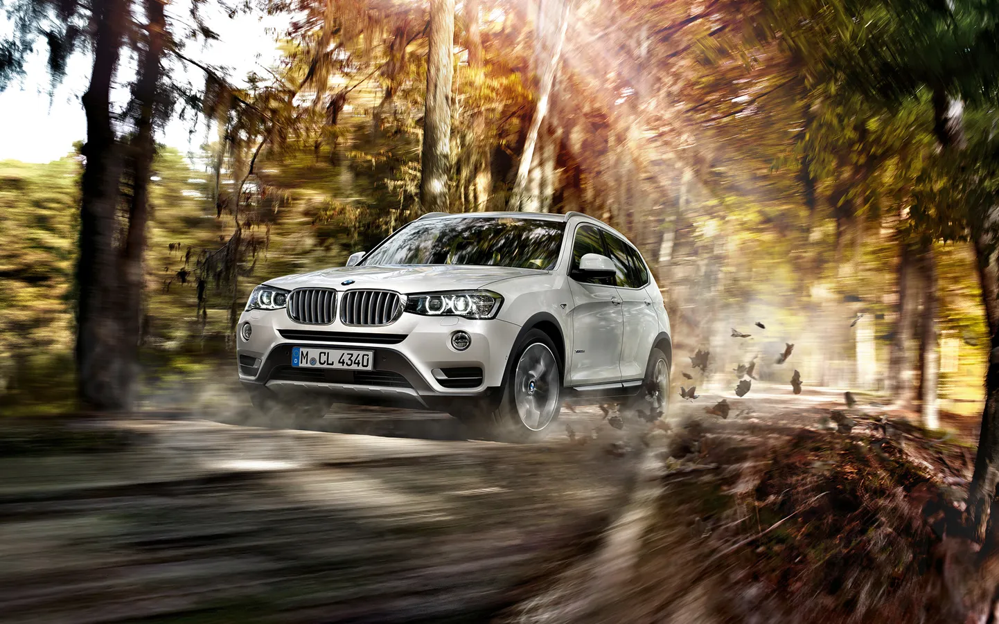 BMW X3 rudenī