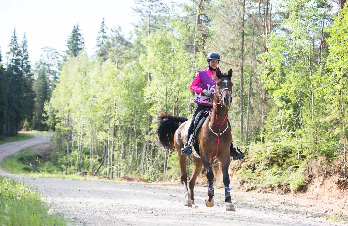 Kairit Järv ja Mustafo Malabah Kõrvemaal.