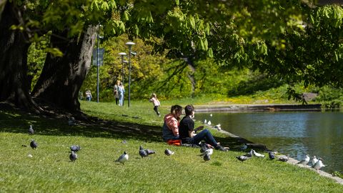 Lähipäevadel on õhusooja maksimumid üle 10 kraadi