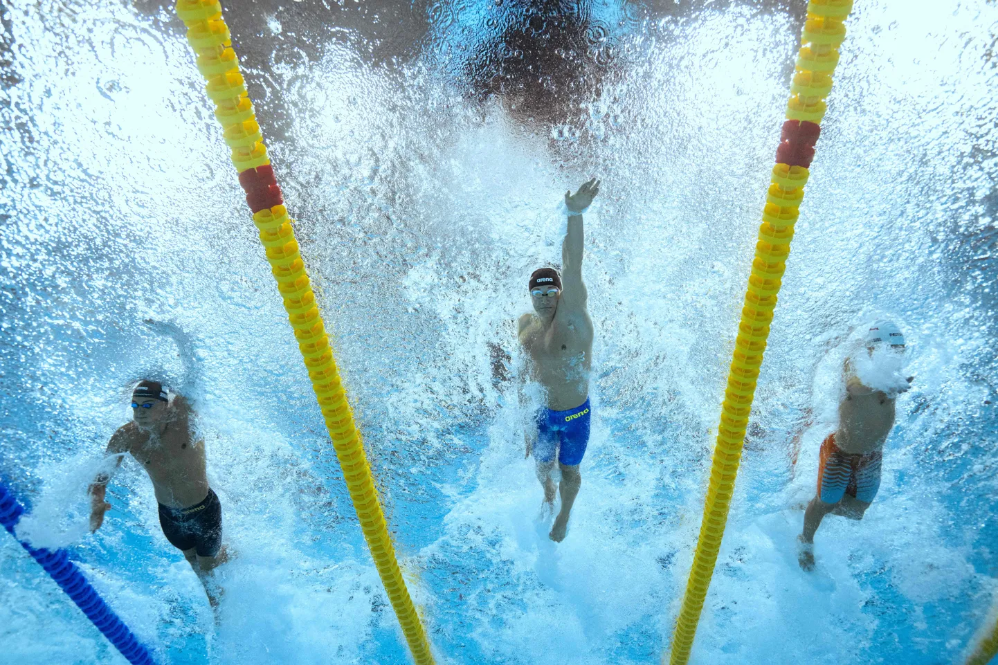 Daniel Zaitsev (keskel) lühiraja MMil. Foto 50 m vabaltujumise eelringist.
