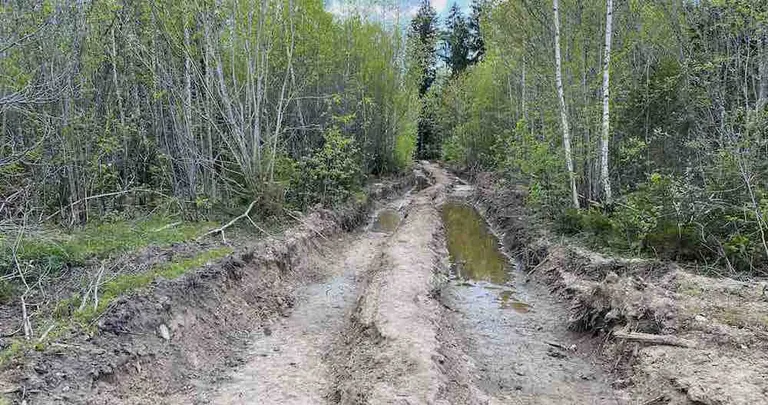 Levinuim lahendamist vajav probleem on peale raietöid maha jäänud roopad, mille silumist on metsaomanikul keeruline metsafirmalt nõuda ilma korrektseid siduvaid lepinguid omamata.