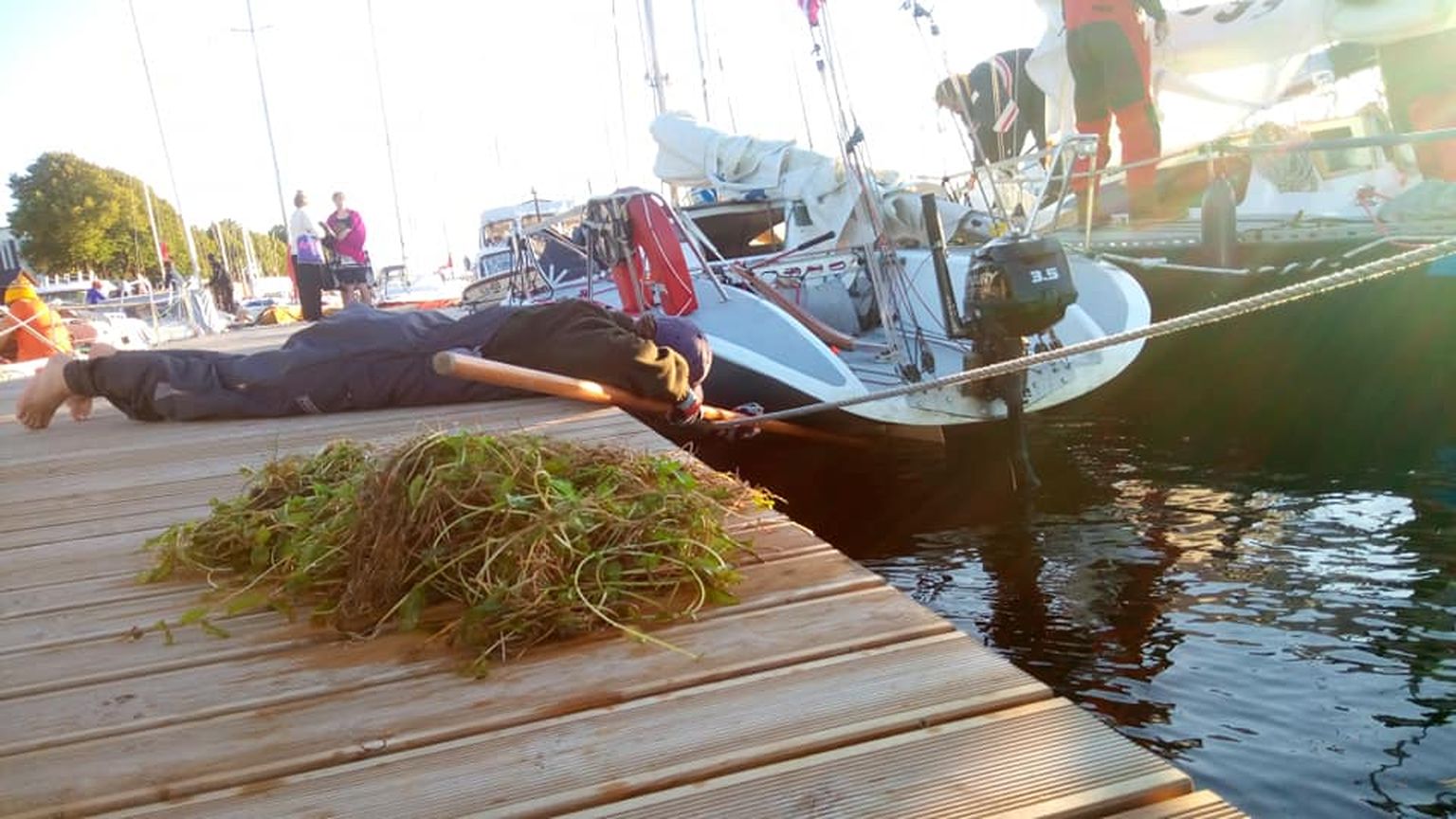 Jahi rooli puhastamine mererohust Muhu Väina regati Pärnu etapil