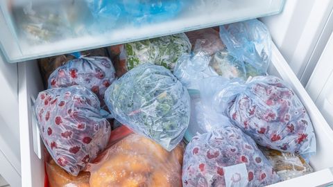 Frozen Coin in Freezer: A Smart Hack to Check Food Safety While Away
