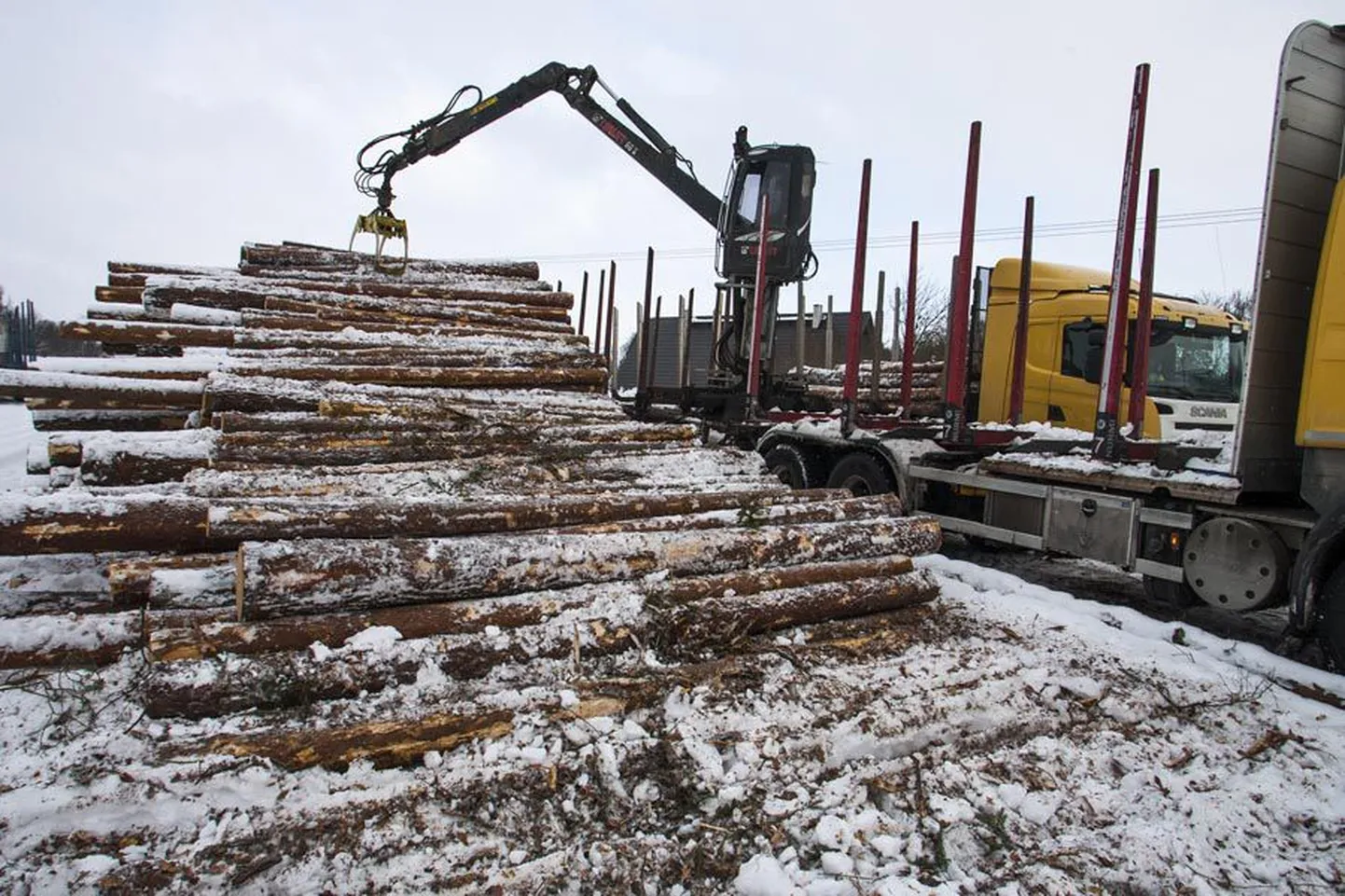 Praegune aeg on metsategemiseks hea. Kuigi aasta algul oli pigem sulailm, siis praegused külmakraadid lubavad rasketel masinatel kindlamalt metsasihtidel sõita. Nii olid üleeile Viljandi lähedal metsateoga ametis mehed traktorite ja veoautodega.