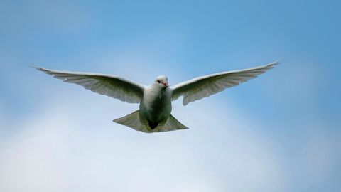 TÄHESEISUD ⟩ Rahu ei saabu maailma enne kui 2040ndatel