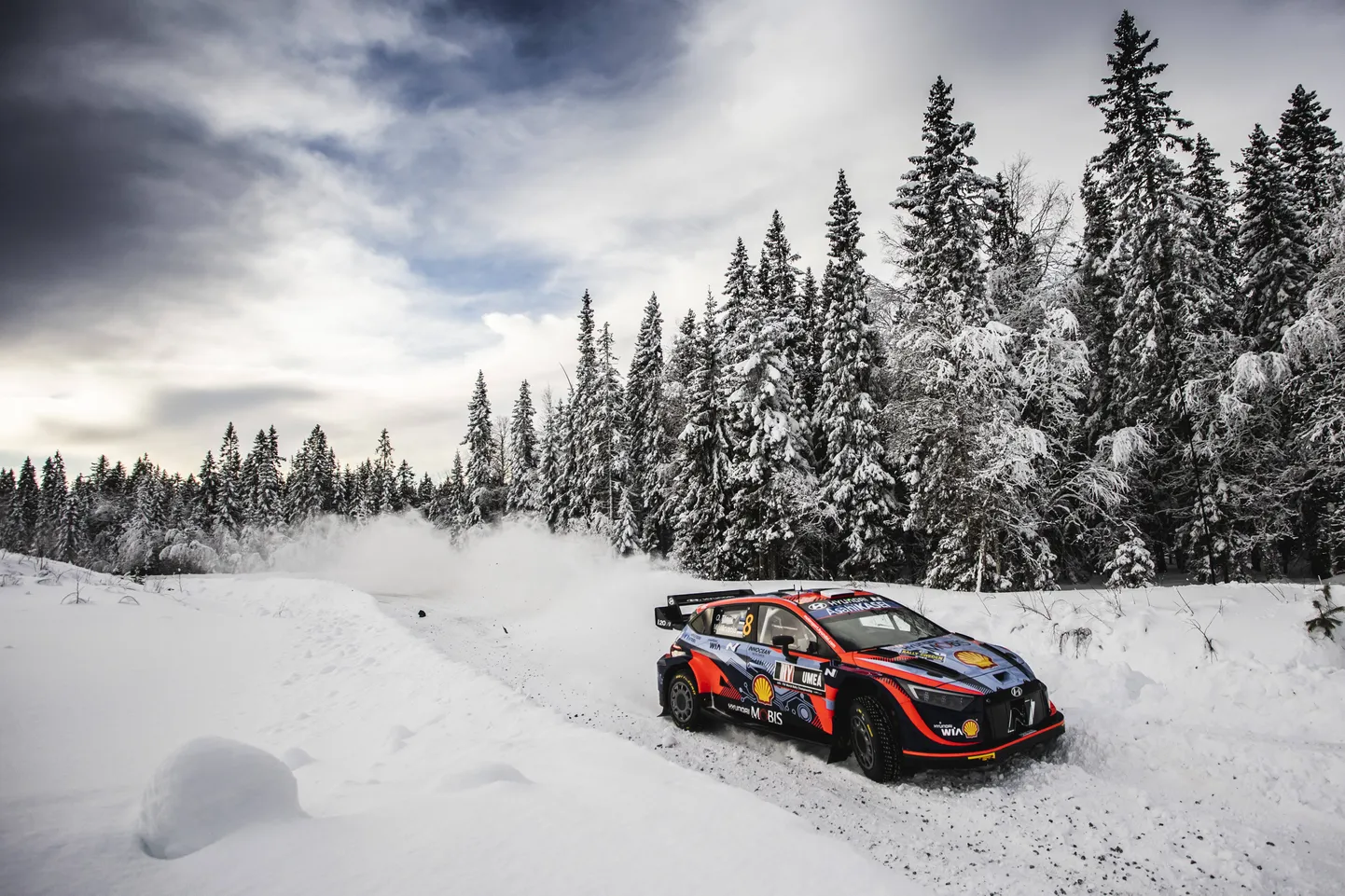 Ott Tänak ja Martin Järveoja Rootsi rallil.
