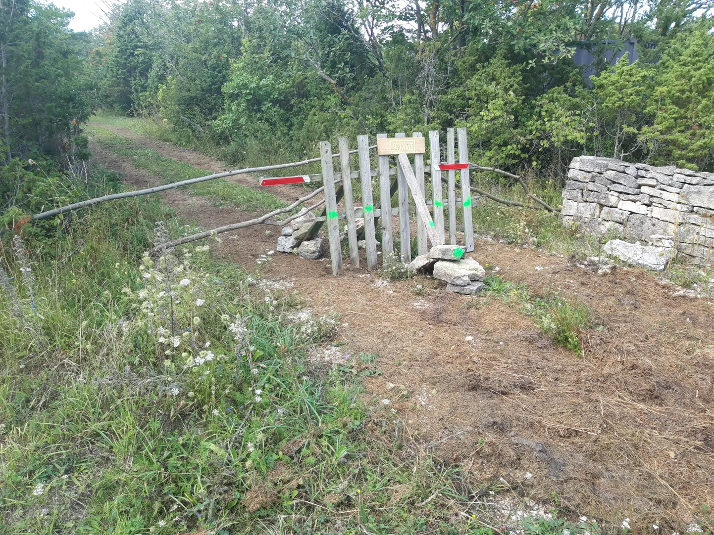 Artikli foto