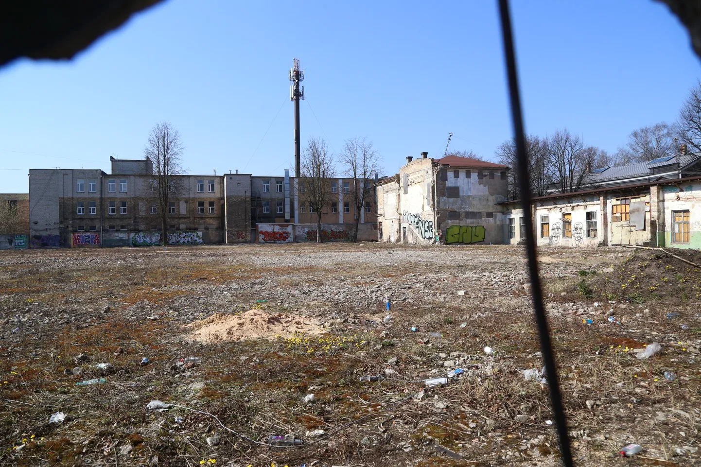 Raksta foto