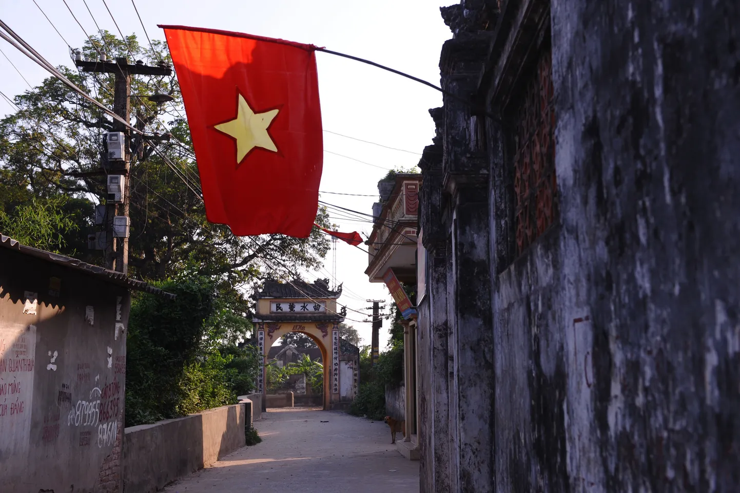 Vietnami lipp.