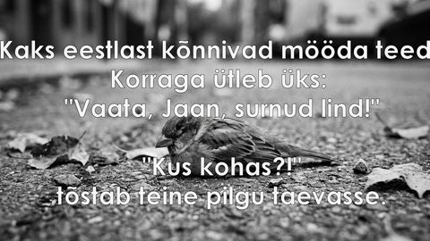 Kaks eestlast kõnnivad mööda teed