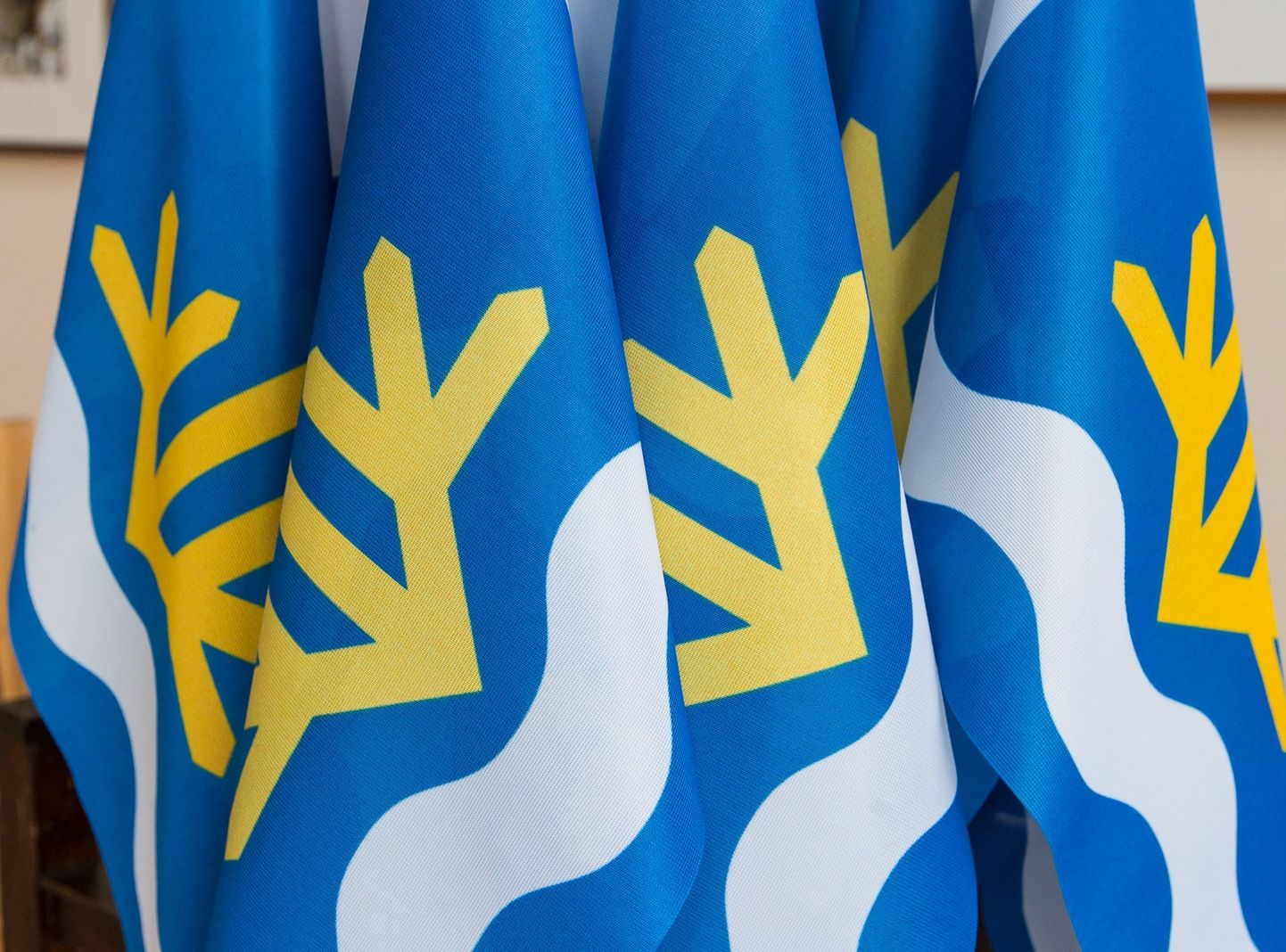 Флаги Тойлаской волости.