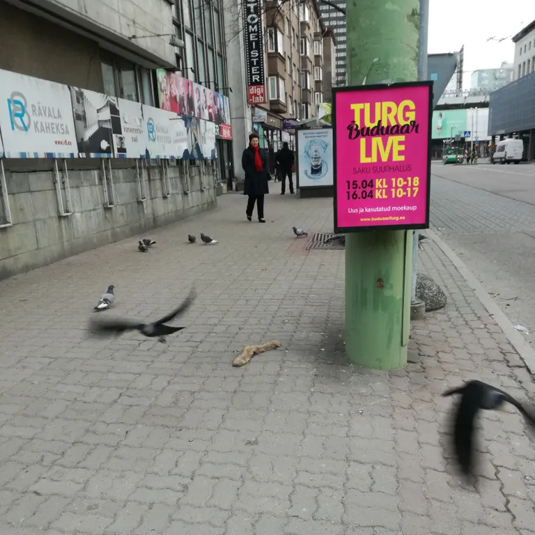 Ja nüüd pessa!